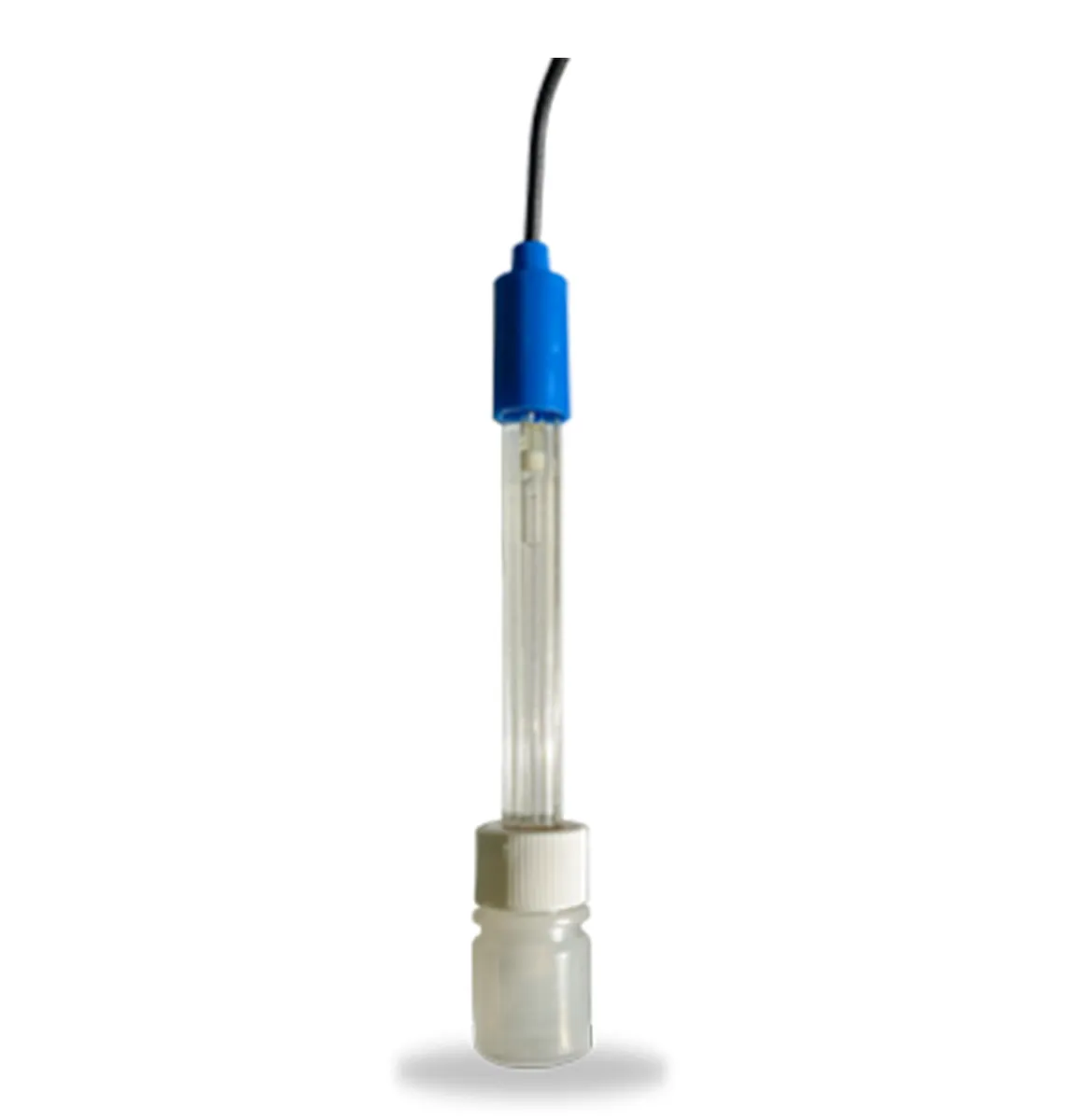 SONDE PH AVEC CABLE 5 M RACER COMPACT/SERENITY